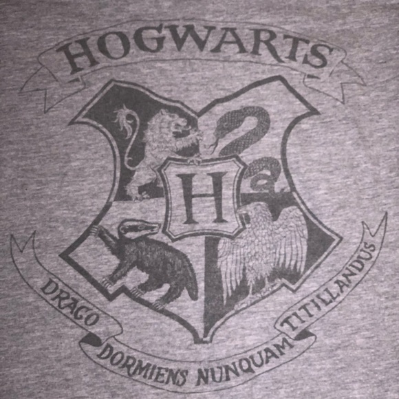 Hogwarts alumni short sleeve t-shirt - grey Large unisex - Target - Picture 2 of 4
